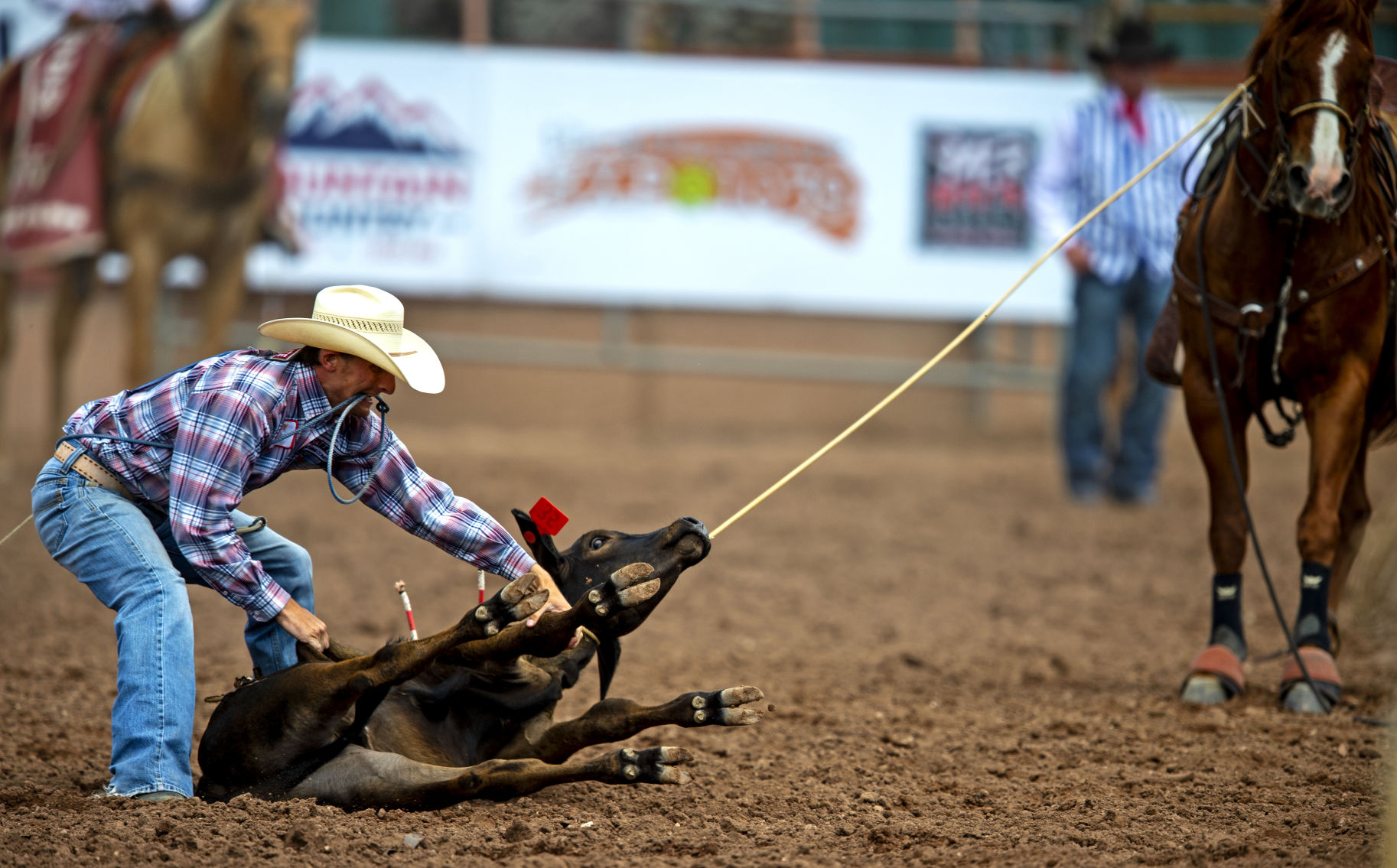 Sports Rodeo - Saturday 17.JPG
